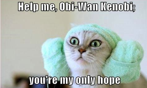 Help Me Obi Wan Lolcat