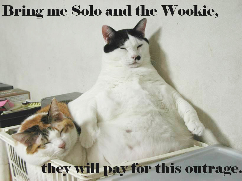 Solo and the Wookie Lolcat